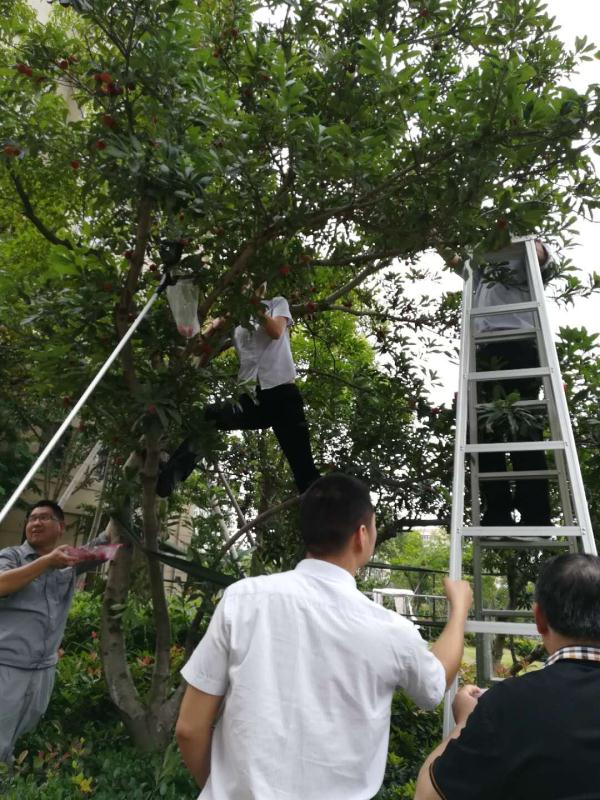 QQ图片20180611092922.jpg