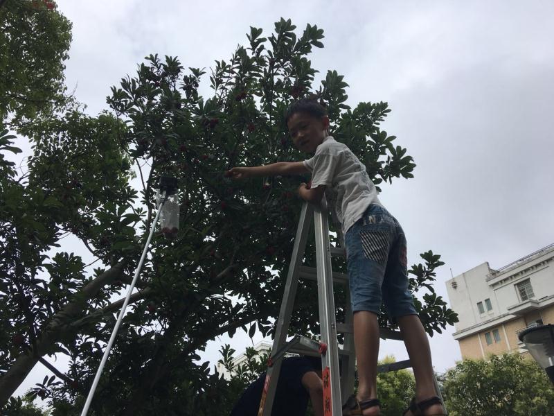 QQ图片20180611092910.jpg
